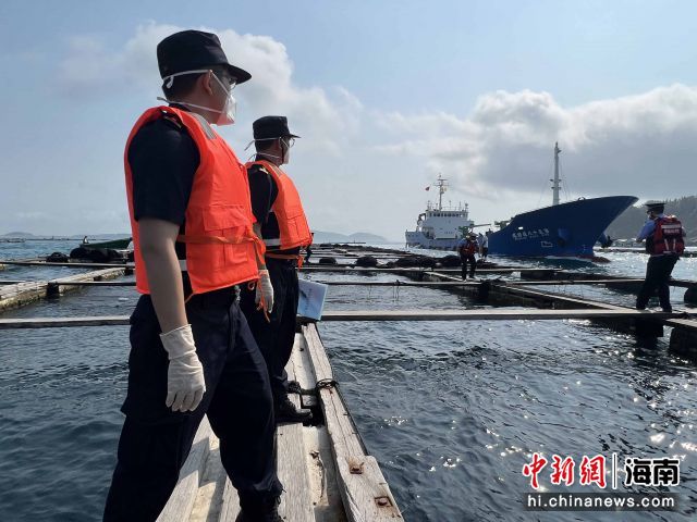 3月24日，文昌海关完成海南今年首批章雄鱼苗出口现场监装和日籍入境船舶登临检疫工作。黄功摄