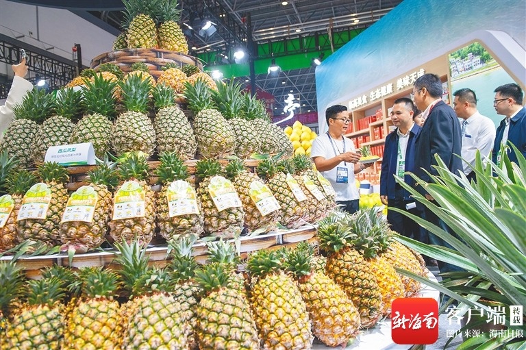 冬交会上多个农业品牌集中亮相，展现海南“三农”发展新气象